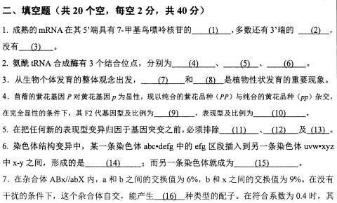 扬州大学2022年考研真题