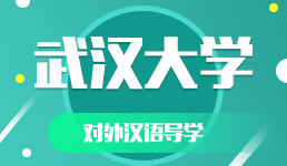 武汉大学-对外汉语导学